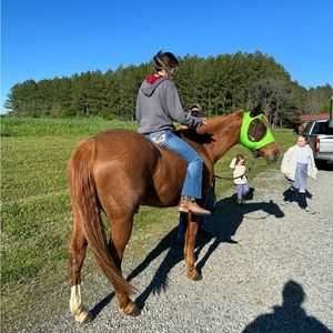 Meet your Posher, Kirklyn